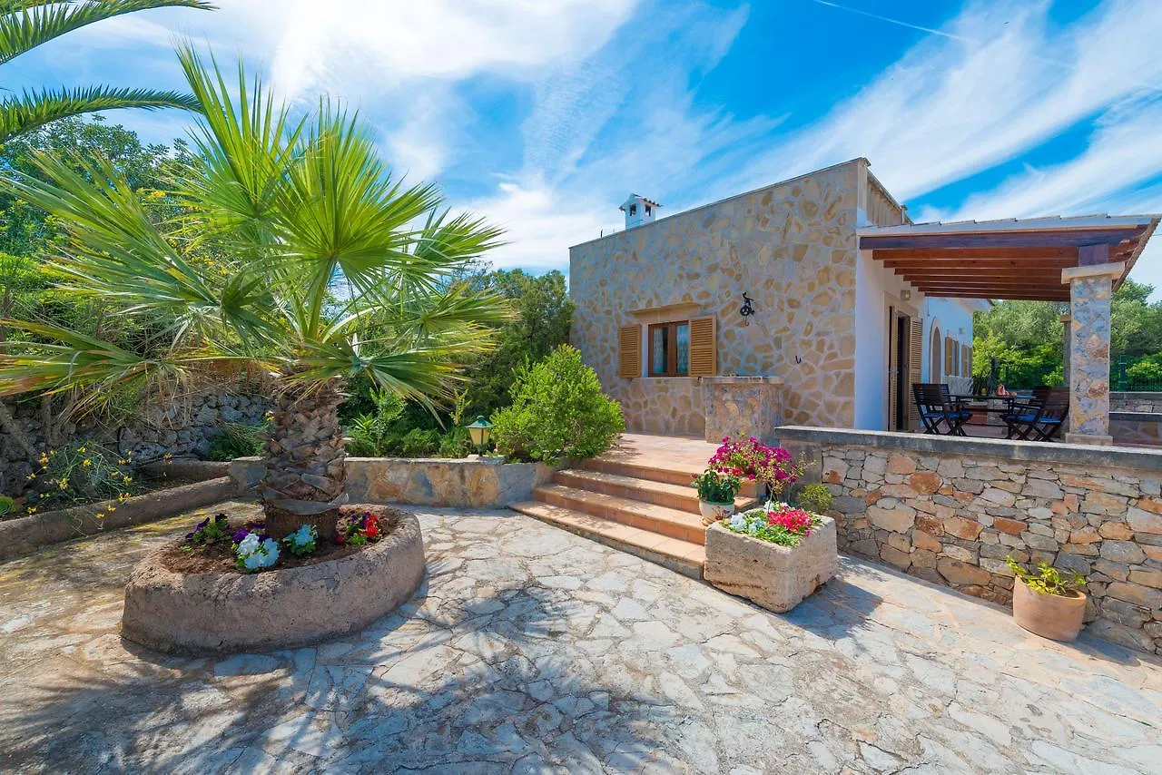Barcelo-Danus location